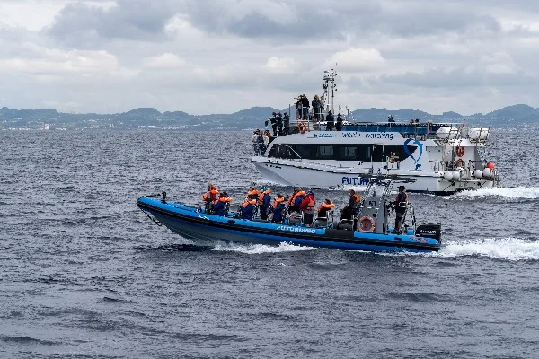Photos of Whale & Dolphin Watching - main photo
