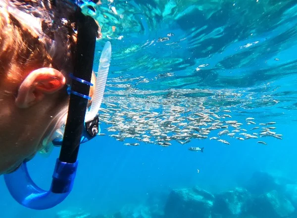 Photos of Snorkeling - main photo
