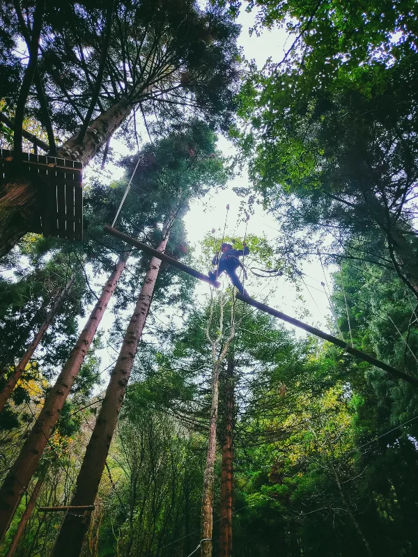 Photos of Treetop Adventures - Photo 2
