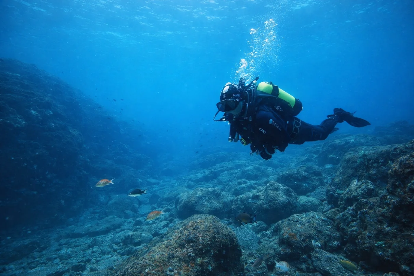 Photos of Scuba Diving - main photo