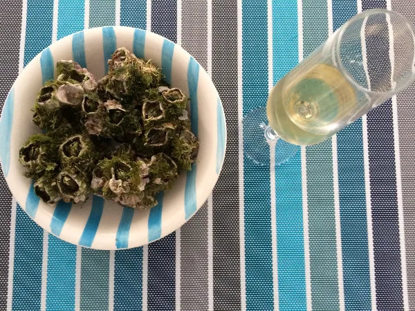 Azorean Barnacles — Azores by Rui review