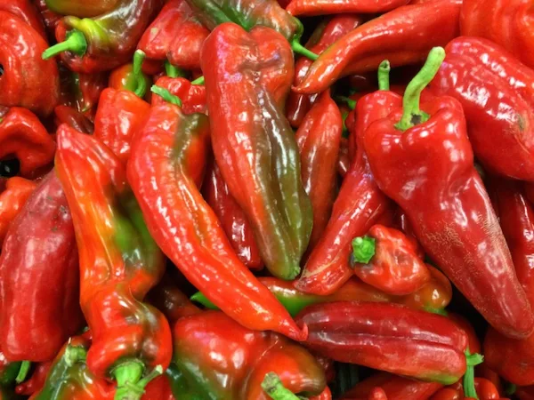 Pimenta da Terra: Azorean Red Pepper Paste