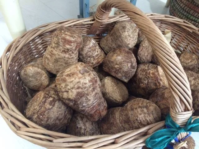 Photos of Inhame: Azores Taro Root - Photo 1