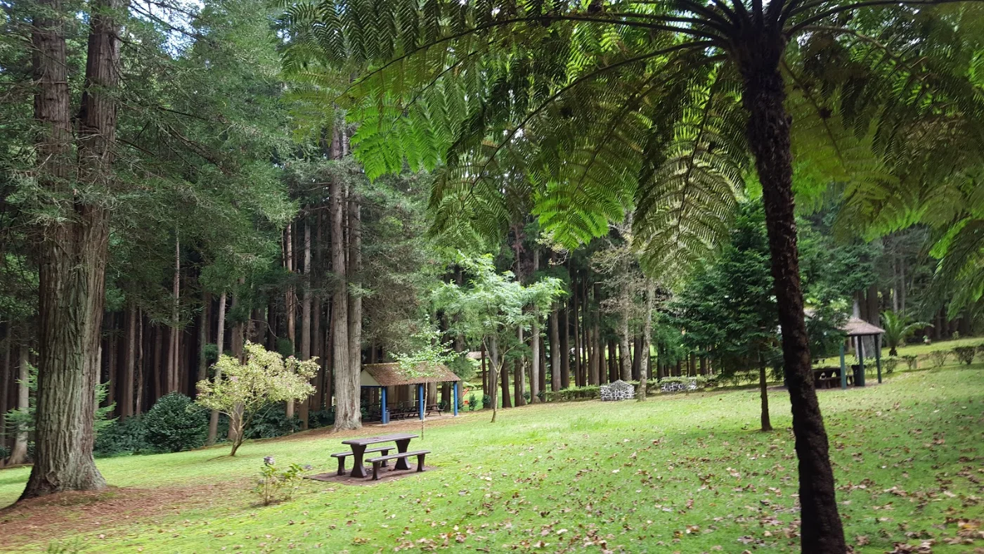 Photos of Fontinhas Recreational Forest in EN1-2A, 9580 Santo Espírito, Portugal - Photo 1