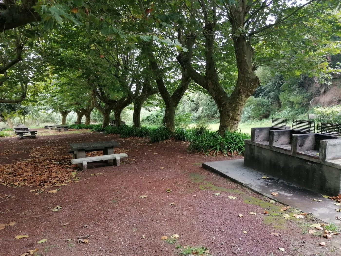 Photos of Parque de Merendas do Pisão in Estr. Regional 1-1 1, 9680, Portugal - Photo 1