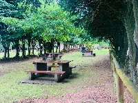 Reserva Florestal de Recreio da Chã da Macela