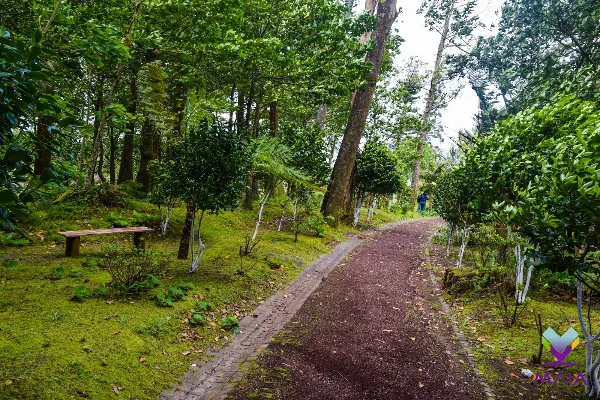 Photos of Mata do Dr. Fraga in EN2-1A, 9625 Furnas, Portugal - Photo 2