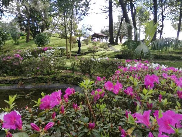 Photos of Mata do Dr. Fraga in EN2-1A, 9625 Furnas, Portugal - Photo 4