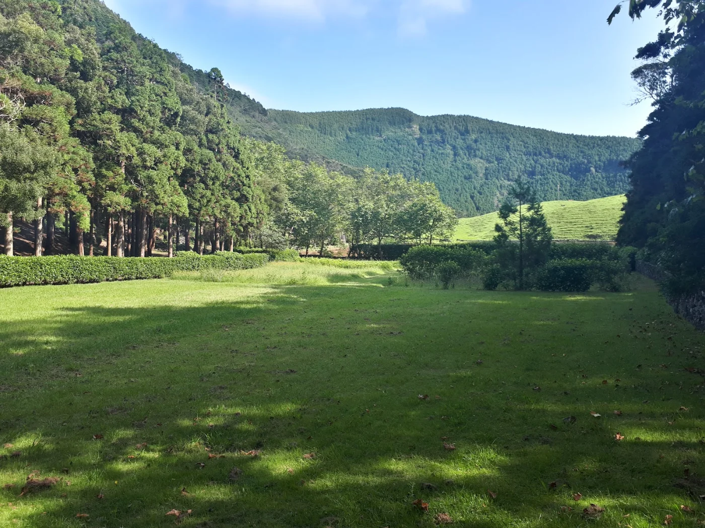 Photos of Parque Florestal da Caldeira in Unnamed Road, 9880, Portugal - Photo 1