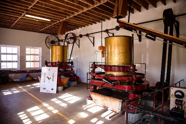Photos of Gorreana Tea Factory in Plantações de Chá Gorreana, 9625-304 Maia, Portugal - Photo 3