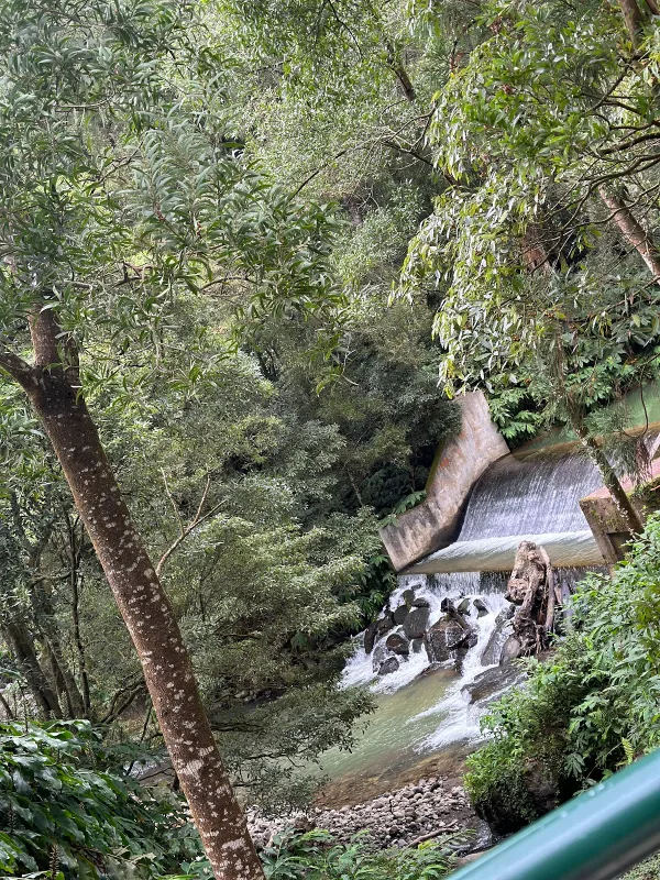 Photos of Cascata do Poço da Rocha in Ilha de, 9580, Portugal - Photo 4