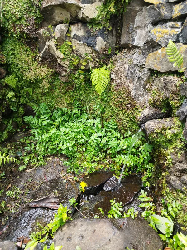 Photos of Fonte Clara (Cascata da Pontinha) in Ilha de, 9580, Portugal - Photo 2