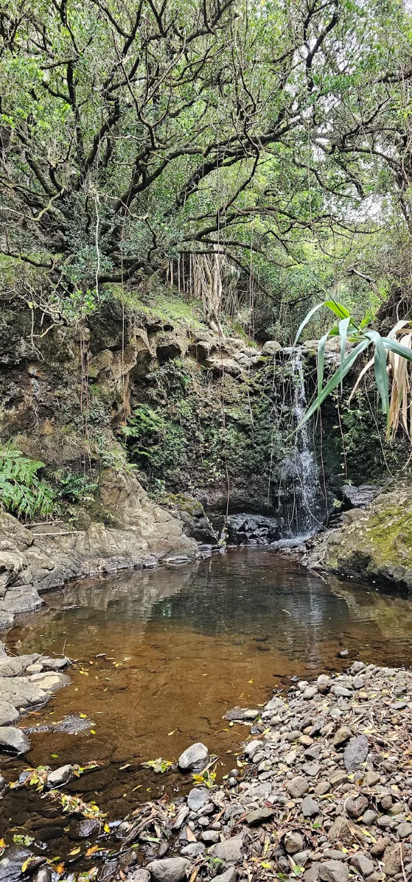 Photos of Cascata da Baía do Raposo in Ilha de, 9580, Portugal - Photo 4