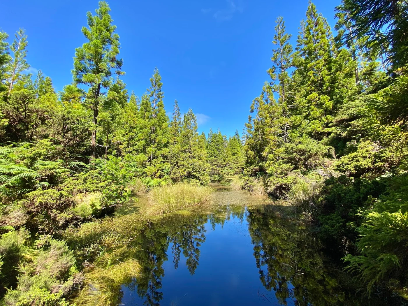 Photos of Black Mysteries Trail - PRC01 in M502, 9700, Portugal - Photo 1