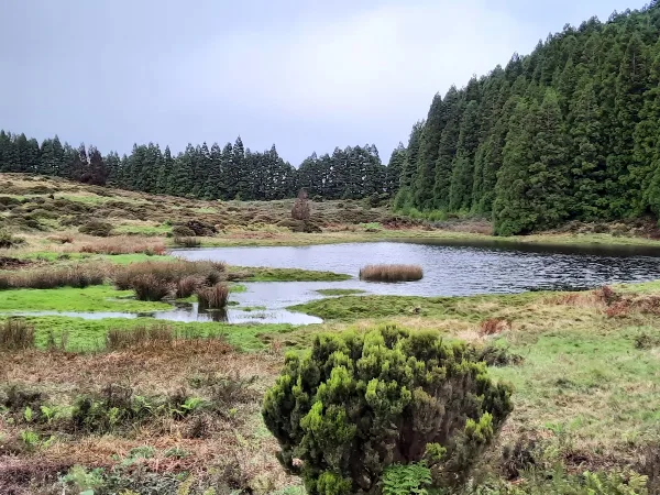 Photos of Black Mysteries Trail - PRC01 in M502, 9700, Portugal - Photo 2