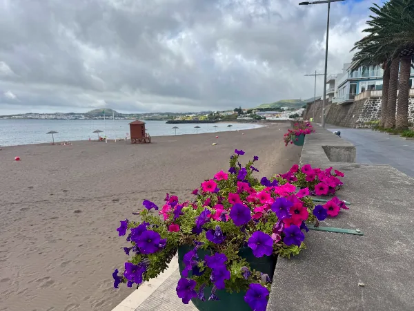 Photos of Areal da Praia da Vitória in Ilha Terceira, Portugal - Photo 4