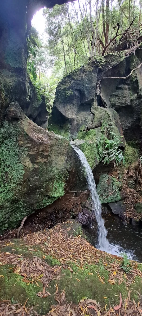 Photos of Parque das Frechas in R. dos Moinhos, 9760, Portugal - Photo 3