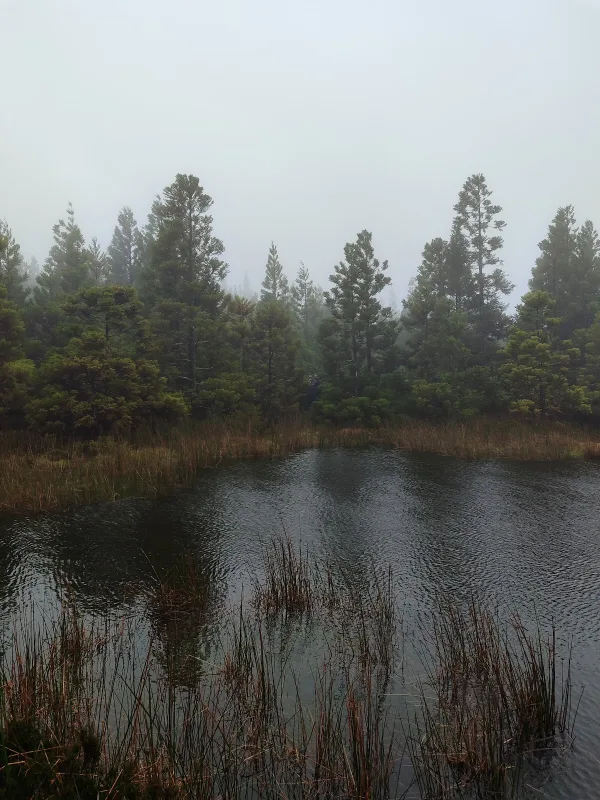 Photos of Lagoa do Negro in Hike Mistérios Negros - PRC01, M502, 9700, Portugal - Photo 2