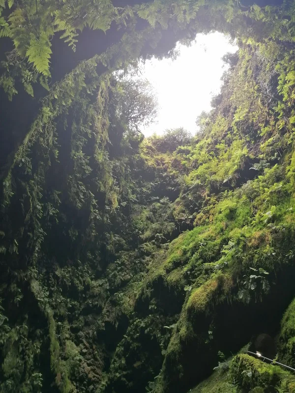 Photos of Fortress of St. John of Monte Brasil in Monte Brasil 9700, 9700-136 Angra do Heroísmo, Portugal - Photo 2