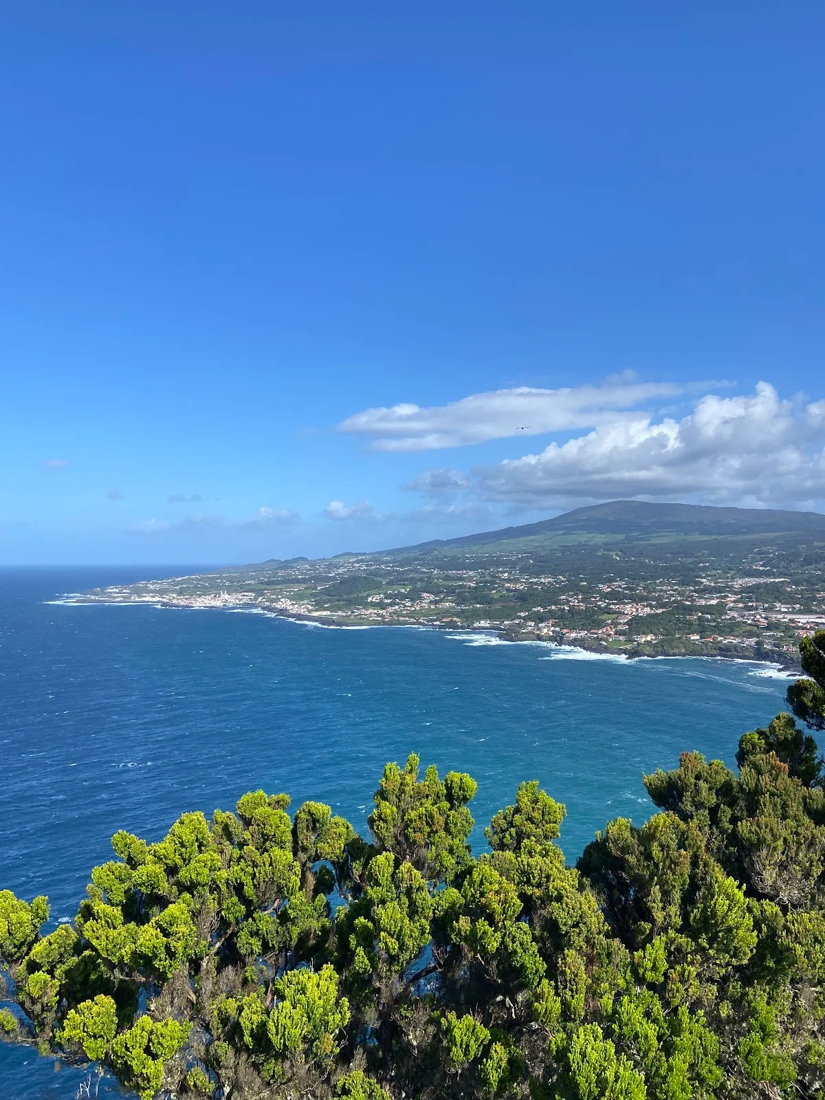 Photos of Miradouro do Pico Zimbreiro in Monte Brasil, 9700 Angra do Heroísmo, Portugal - Photo 1