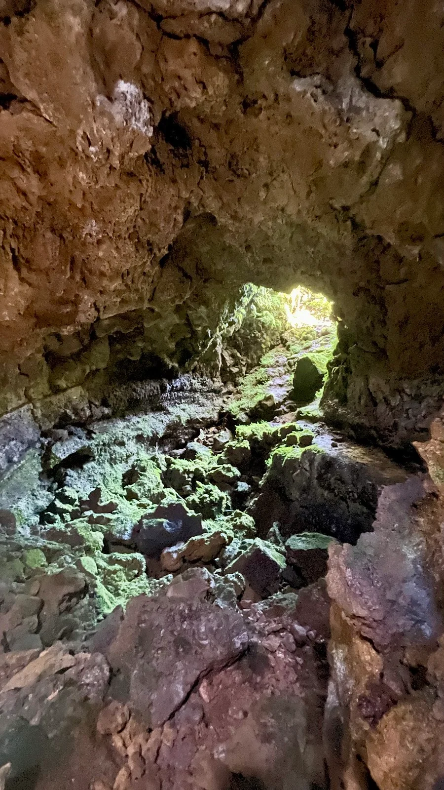 Photos of Gruta da Malha in Ilha Terceira, 9760, Portugal - Photo 1