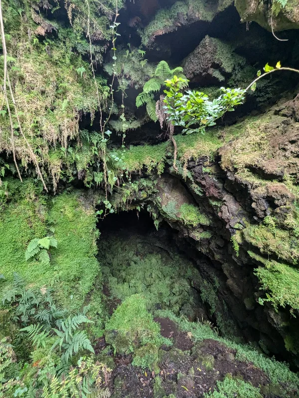 Photos of Gruta da Malha in Ilha Terceira, 9760, Portugal - Photo 2