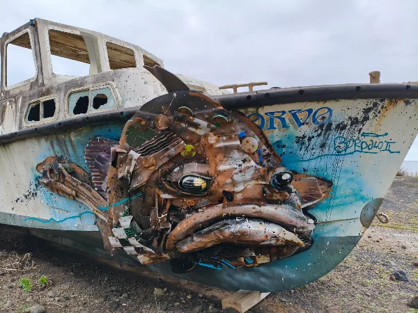 Photos of Mero by Bordalo II in R. da Cruz, 9980 Corvo, Portugal - Photo 4