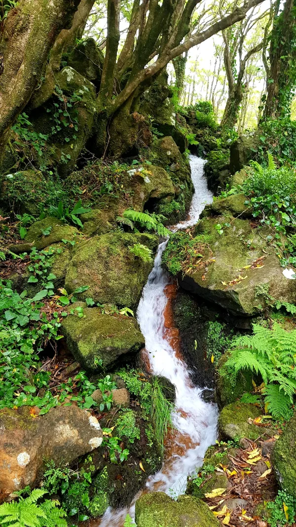 Photos of Cascata da Ribeira do Ferreiro in 9960 Fajãzinha, Portugal - Photo 5