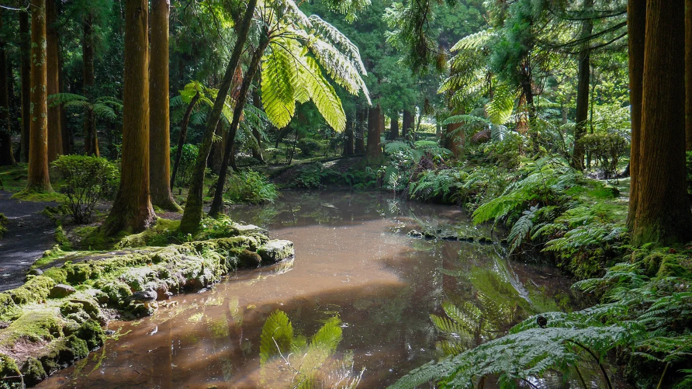 Photos of Sete Fontes Forest Park in Unnamed Road, 9800, Portugal - Photo 1