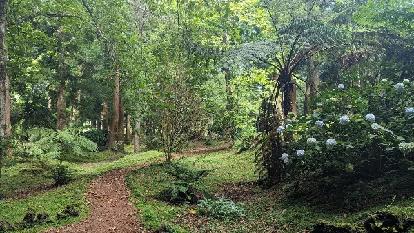 Photos of Sete Fontes Forest Park in Unnamed Road, 9800, Portugal - Photo 3