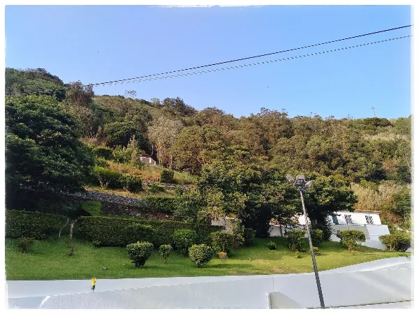 Photos of Jardim Botânico in 9800 Velas, Portugal - Photo 2