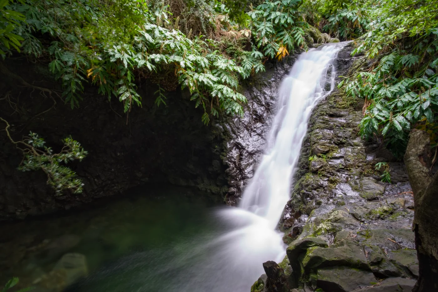 Photos of Cascata Pequena in São Jorge EN2, Miradouro Serra do Topo, ER2, 9850, Portugal - Photo 1