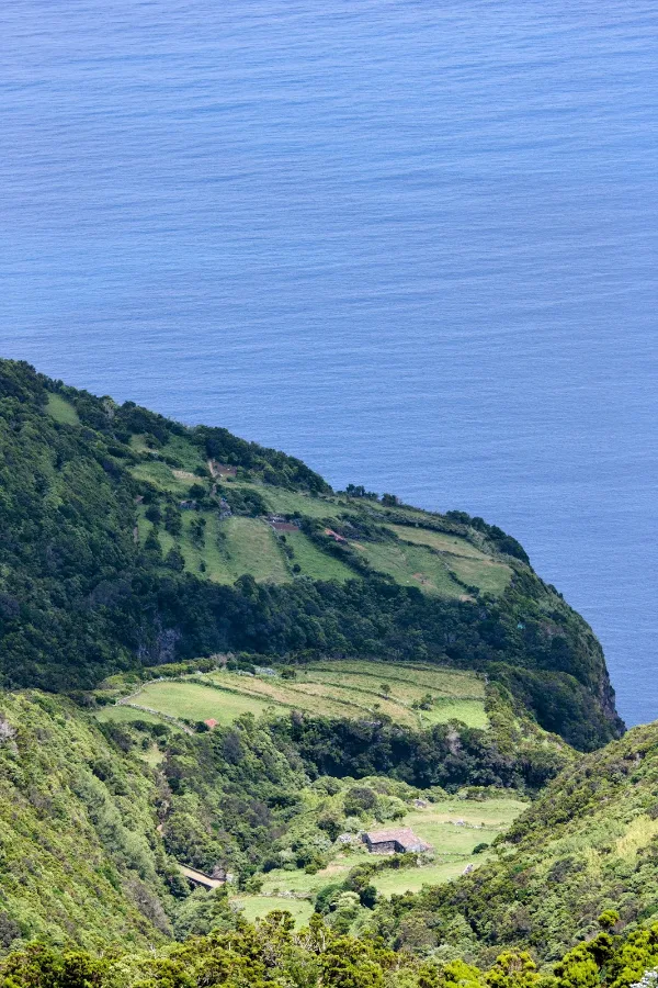 Photos of Miradouro Fajã da Caldeira in São Jorge, 9850, Portugal - Photo 3