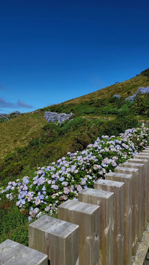 Photos of Miradouro das Pedras Brancas in EN2, 9875, Portugal - Photo 3