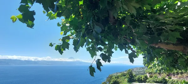 Photos of Miradouro do Portal in São Jorge, 9850, Portugal - Photo 4