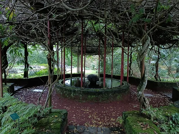 Photos of Faial Botanical Garden in Rua de São Lourenço, nº 23 Flamengos, 9900-401 Horta, Portugal - Photo 3