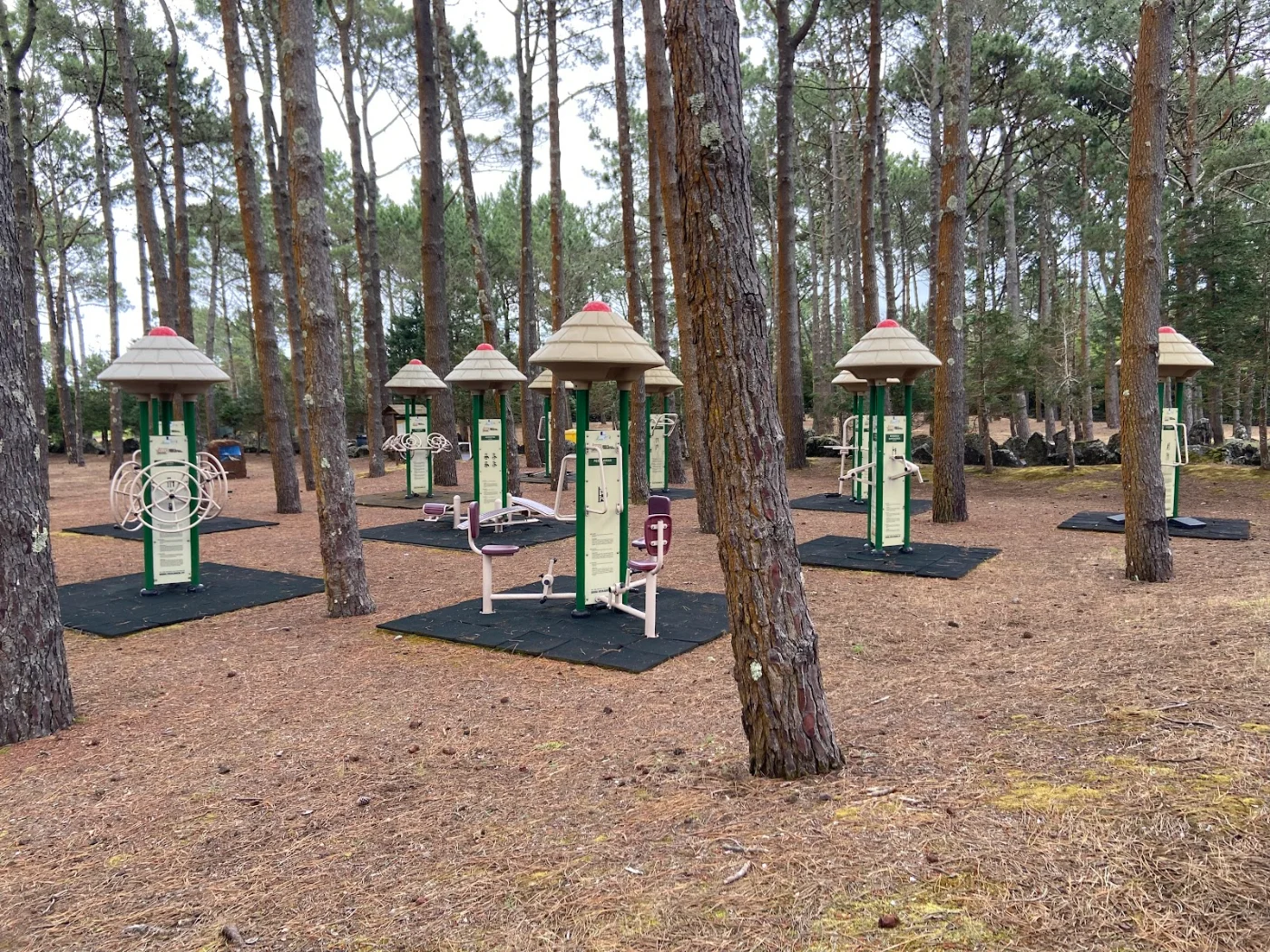 Photos of Parque Florestal de Santa Luzia in 9950 Santo Antonio, Portugal - Photo 1