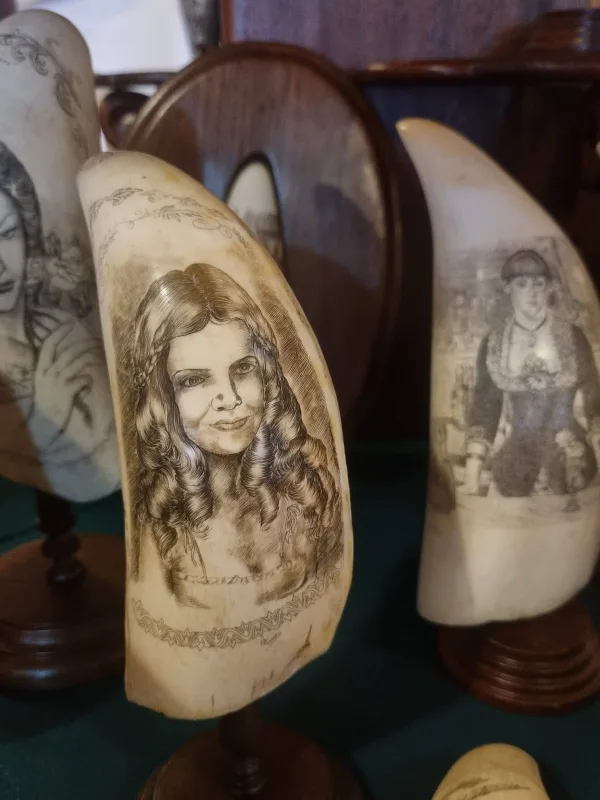 Photos of Scrimshaw museum in R. José Azevedo 9, 9900-027 Horta, Portugal - Photo 2
