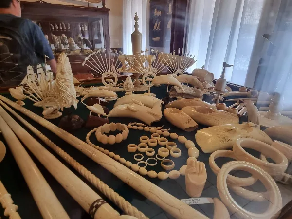 Photos of Scrimshaw museum in R. José Azevedo 9, 9900-027 Horta, Portugal - Photo 3