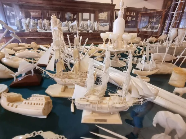 Photos of Scrimshaw museum in R. José Azevedo 9, 9900-027 Horta, Portugal - Photo 5