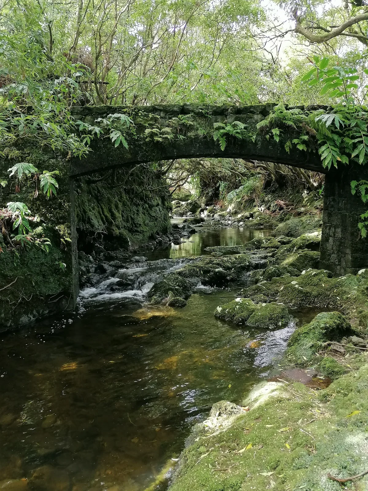 Photos of Jardim Botânico de Pedro Miguel in Ilha do Faial, 9900, Portugal - Photo 1