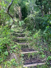 Cabeço do Fogo
