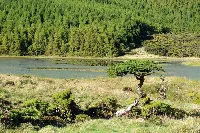 Lagoa do Landroal