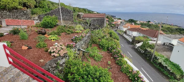 Photos of Casa da Vigia in Ramal da Calheta nº 41, 9930 Calheta de Nesquim, Portugal - Photo 4