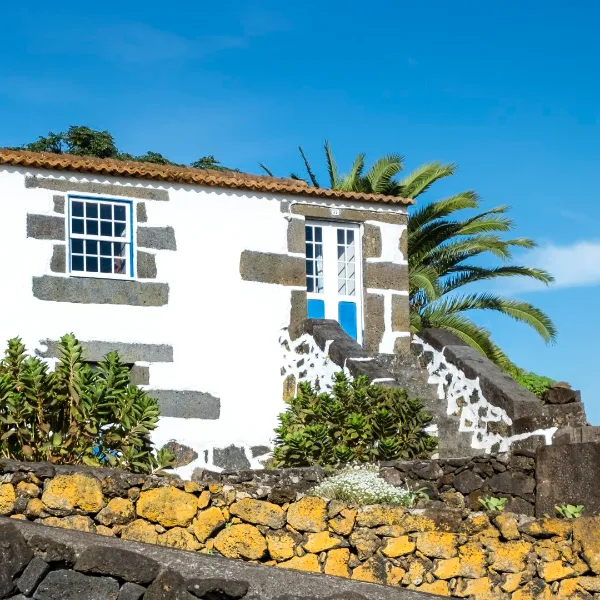 Photos of Pico Holiday Chalets in Caminho do Calhau 37, 9930-204 Piedade, Portugal - Photo 4