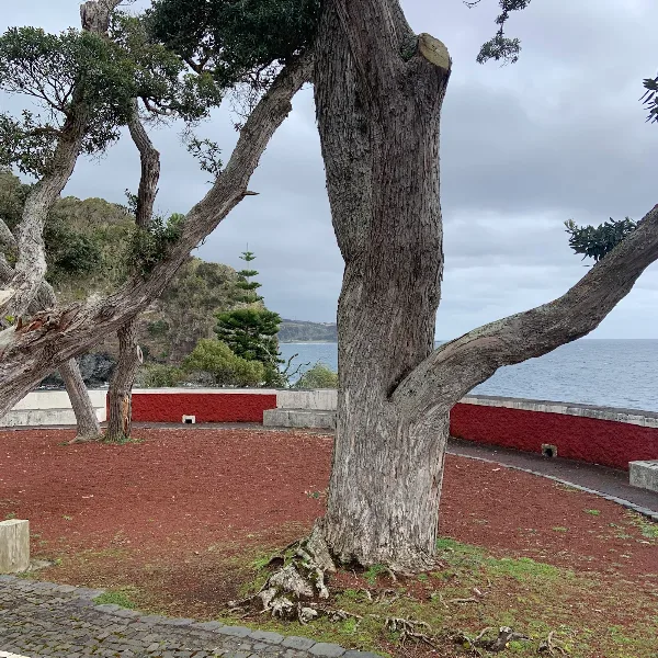 Photos of Miradouro da Caloura in PG73+29, Caloura, 9560, Portugal - Photo 2