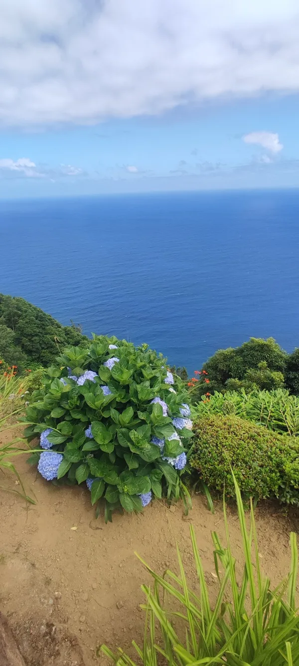 Photos of Miradouro do Pico Longo in São Miguel, EN1-1A, 9650 Povoação, Portugal - Photo 4
