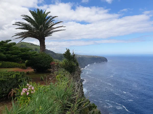 Photos of Miradouro Despe-te que Suas in São Miguel, 9630, Portugal - Photo 2