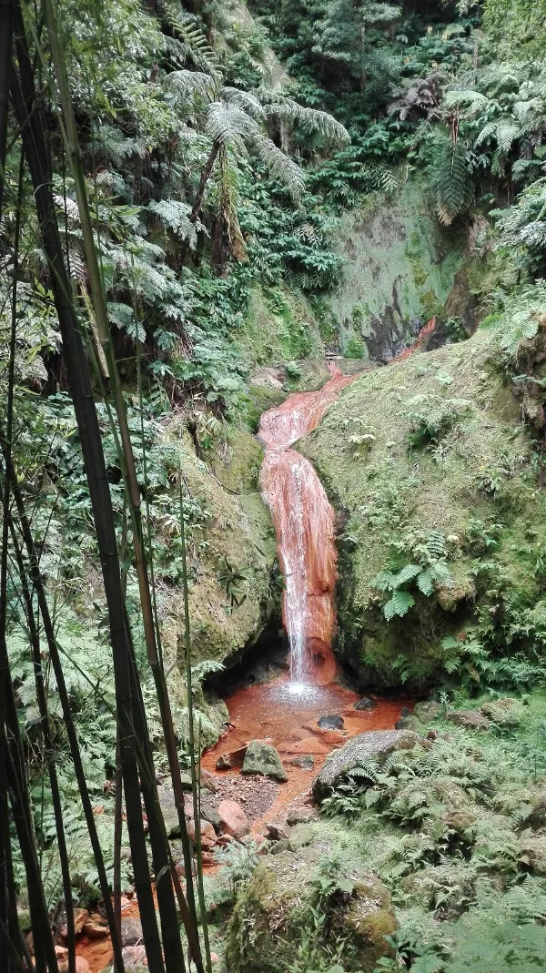 Photos of Miradouro da Bela Vista in São Miguel, EN5-2A, 9600 Ribeira Grande, Portugal - Photo 3