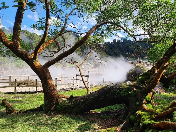 Photos of Fumarolas Lagoa das Furnas in São Miguel Island, 9675, Portugal - Photo 5